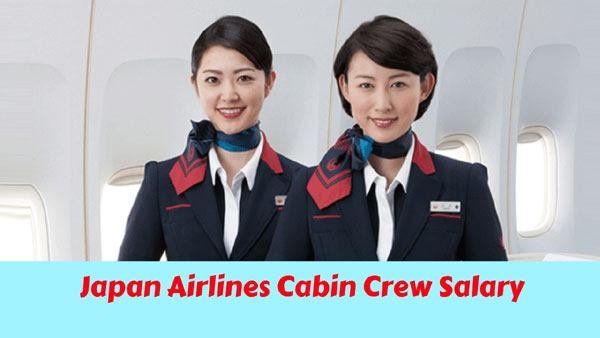 japan airlines cabin crew