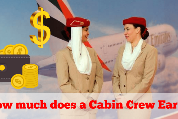 Cabin Crew Earn