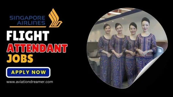 flight attendant jobs