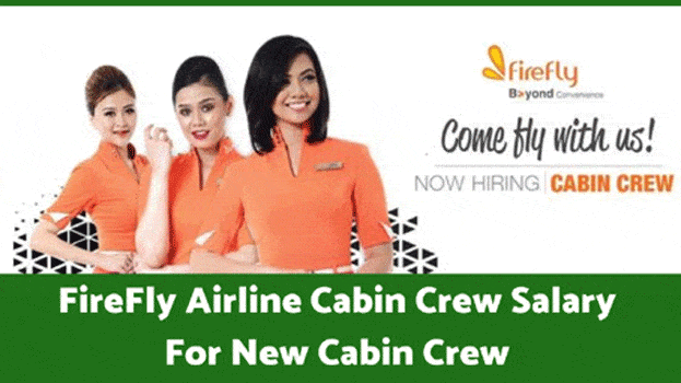 FireFly Airline Cabin Crew Salary