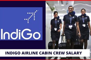 indigo cabin crew salary
