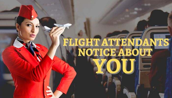 flight attendants notice about you