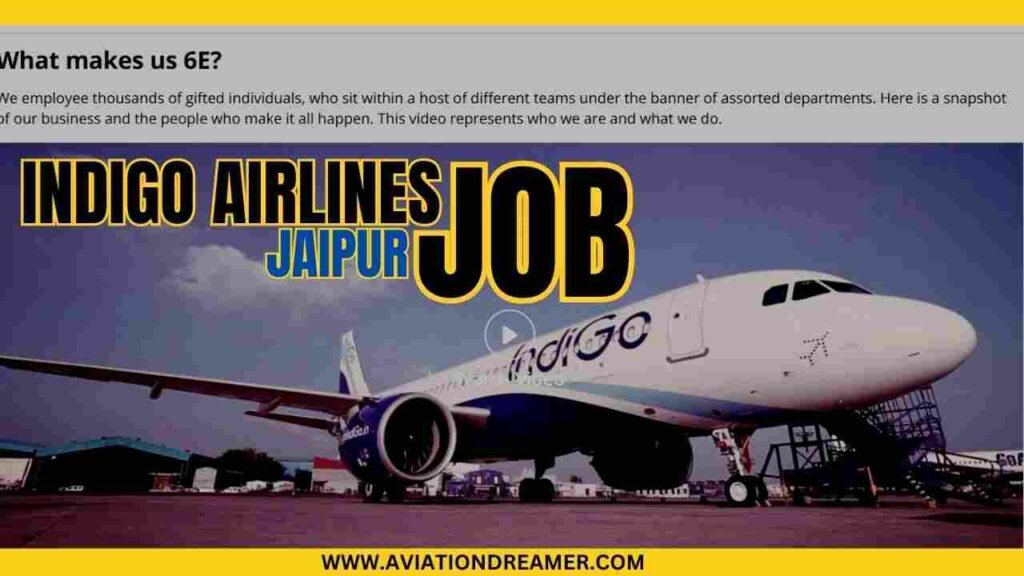 indigo airlines job