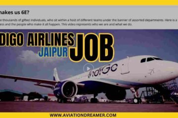 indigo airlines job