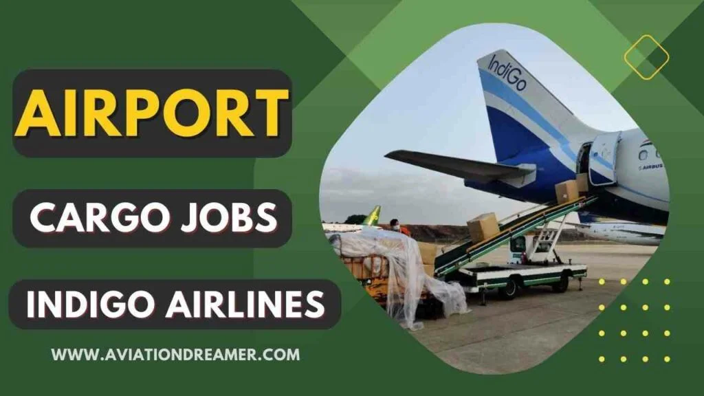 airport cargo job