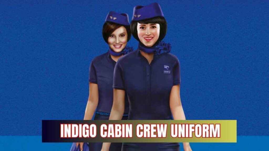 indigo cabin crew uniform