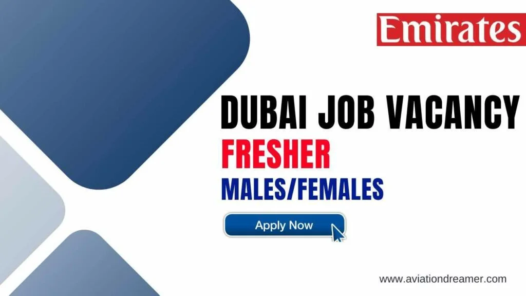dubai job freshers