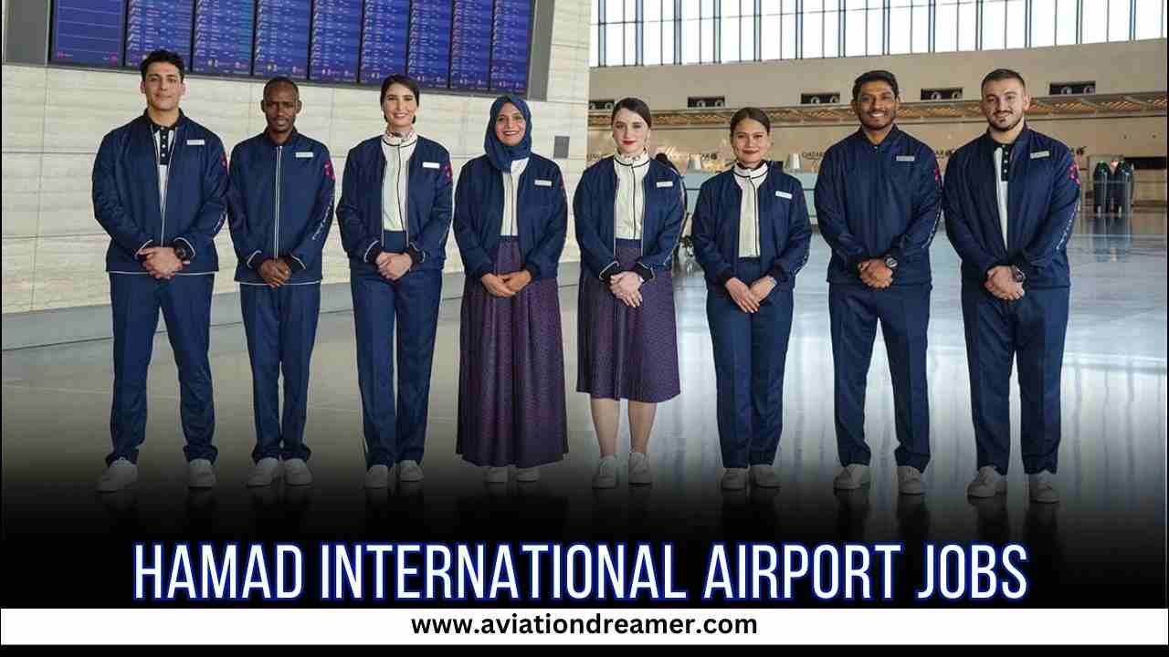hamad international airport jobs